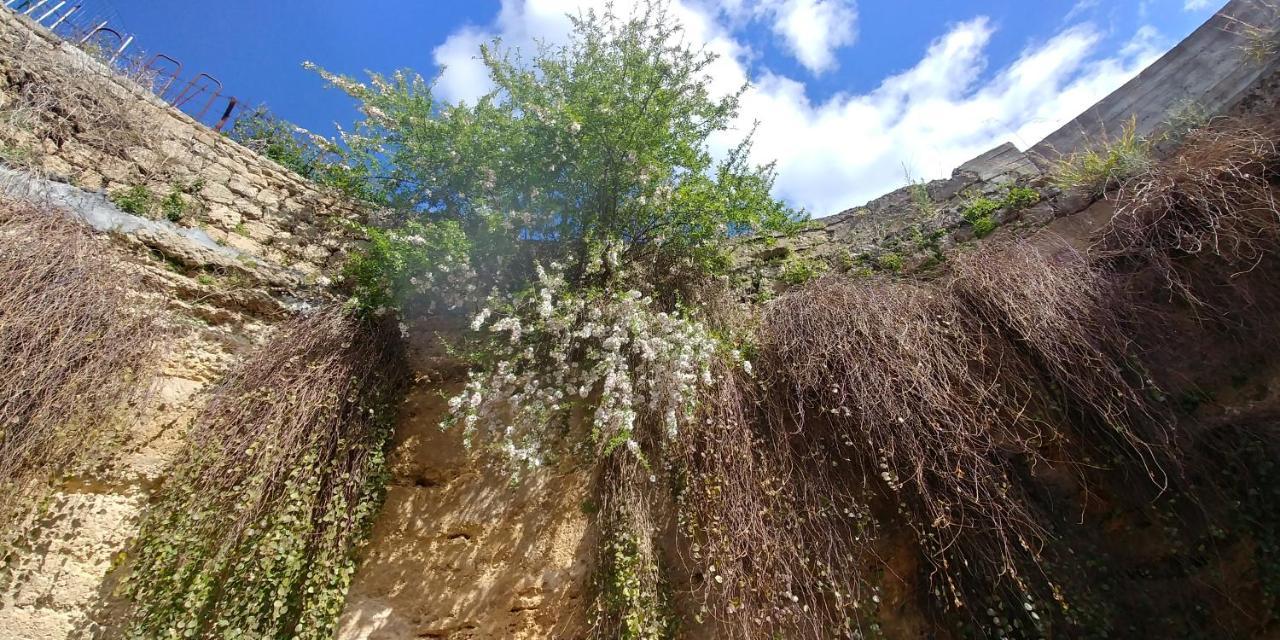 "La Casina Del Forno Con Piscina Fra Catania E Siracusa " Carlentini Exteriér fotografie